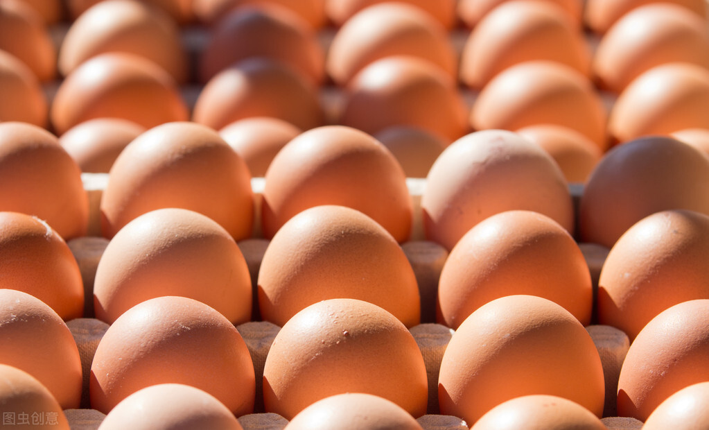 买鸡蛋挑白壳还是红壳,买红壳鸡蛋还是白壳鸡蛋好