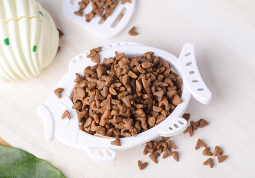 新手养泰迪幼犬要准备什么,新手养泰迪犬要给泰迪犬做些什么