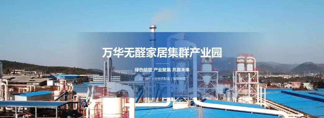 大王椰板材与莫干山哪个比较好,大王椰莫干山兔宝宝哪个性价比高