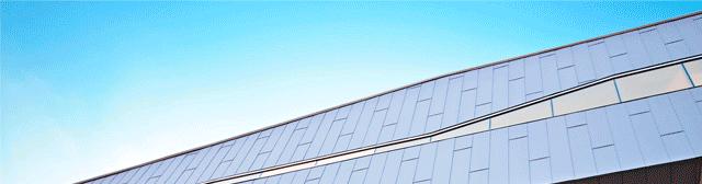 狗狗真是一种神奇的动物,狗狗是什么科的动物