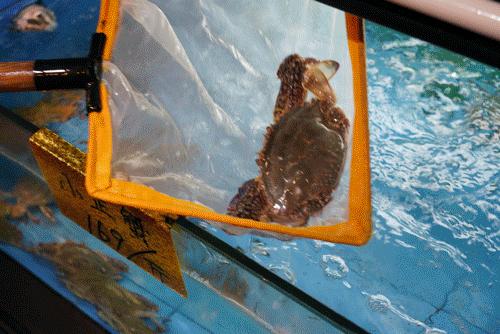 人均30就可以吃广式甜品,福建霞浦海鲜一条街哪家店最好吃