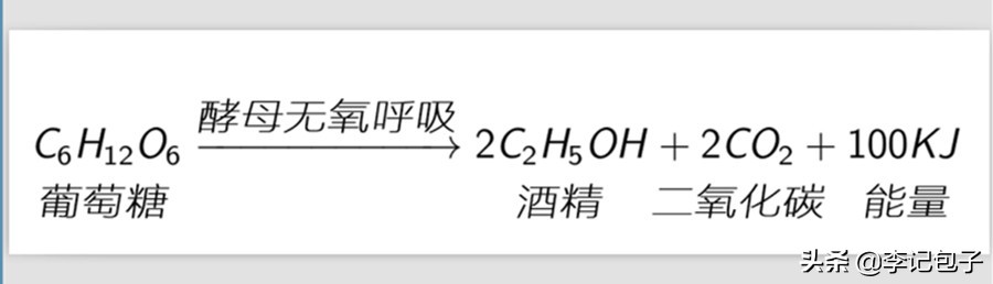 酵母发的包子冷了发硬,发包子酵母放多了会怎样
