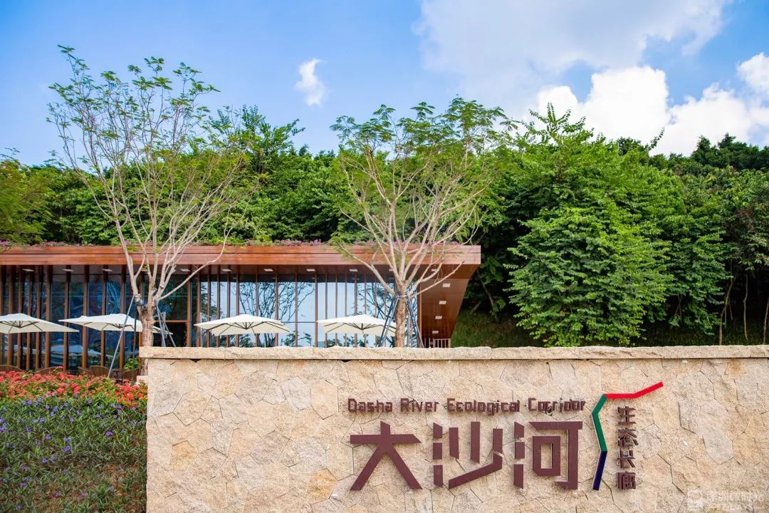 盼了1年！南山新地标“塞纳河”惊艳露面