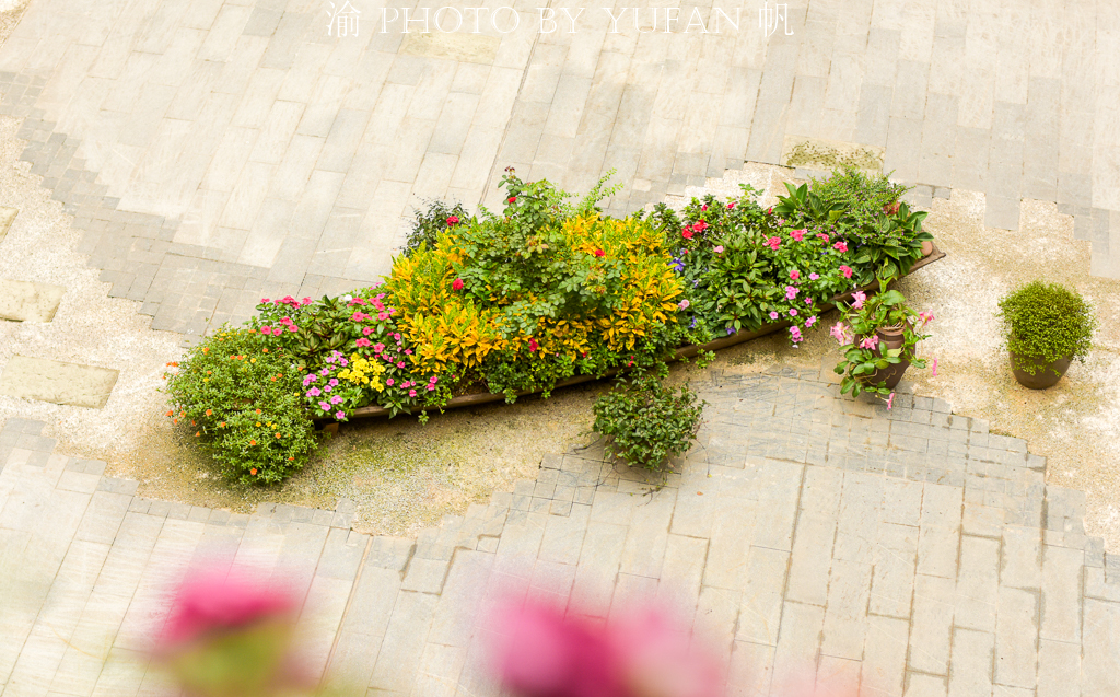 周末去哪儿玩重庆巴南,巴南周末户外带孩子去哪里玩