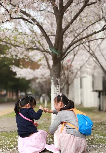 不输日本的3个赏樱地,何必舍近求远国内10大赏樱胜地