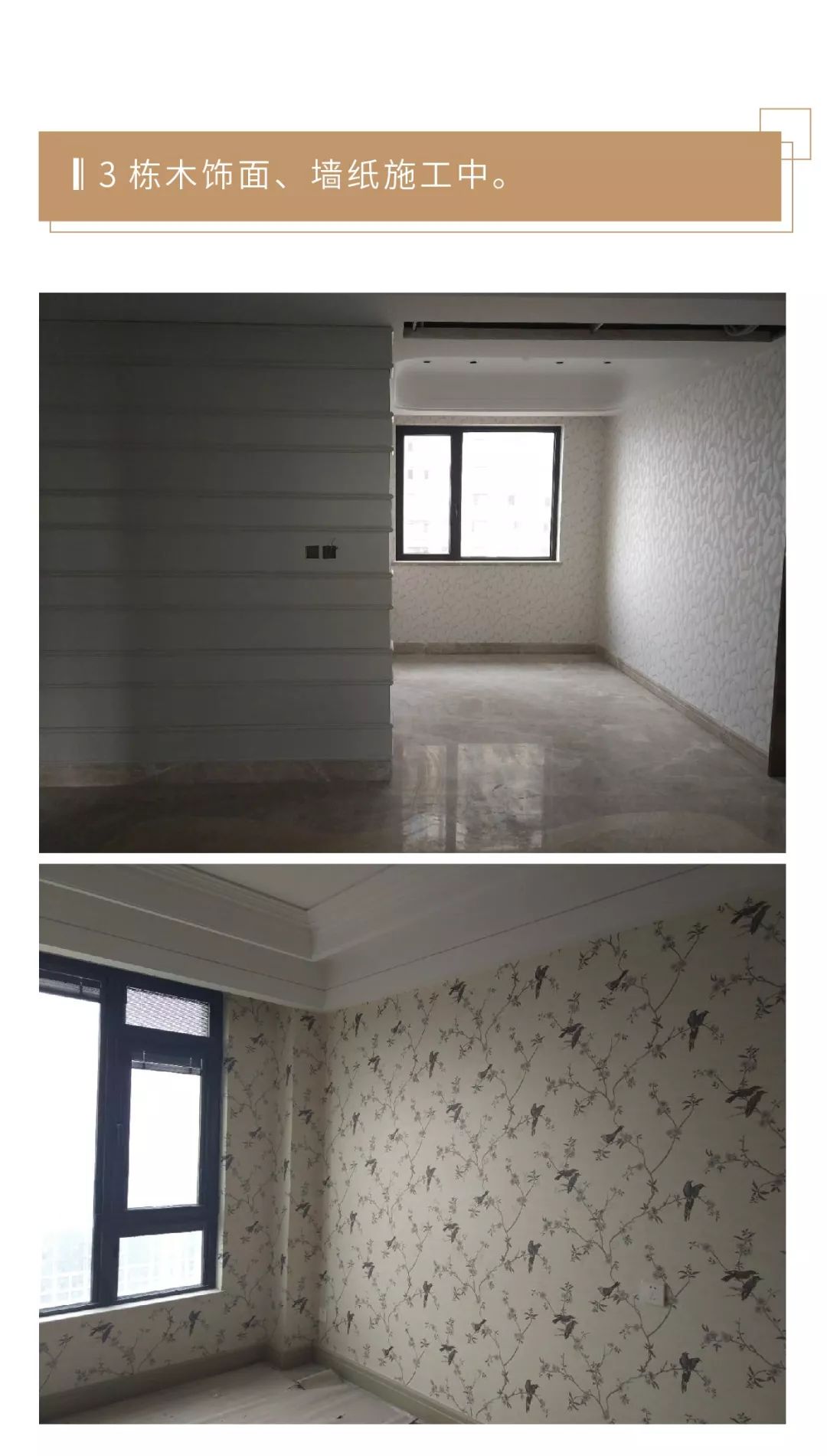 河西中房价历年走势,河西中次新豪宅