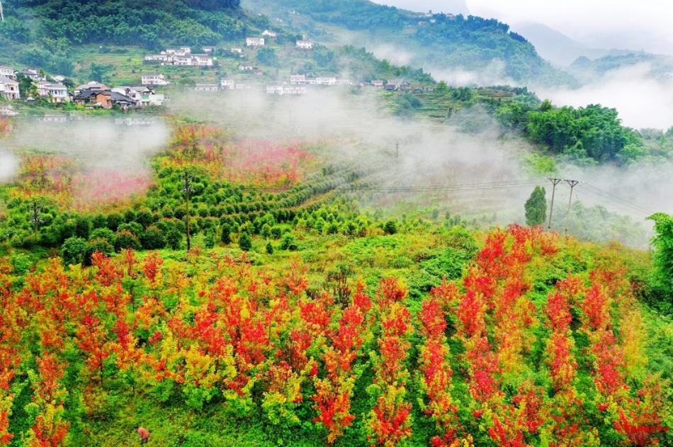重庆轮滑基地最新消息,重庆万盛轮滑基地