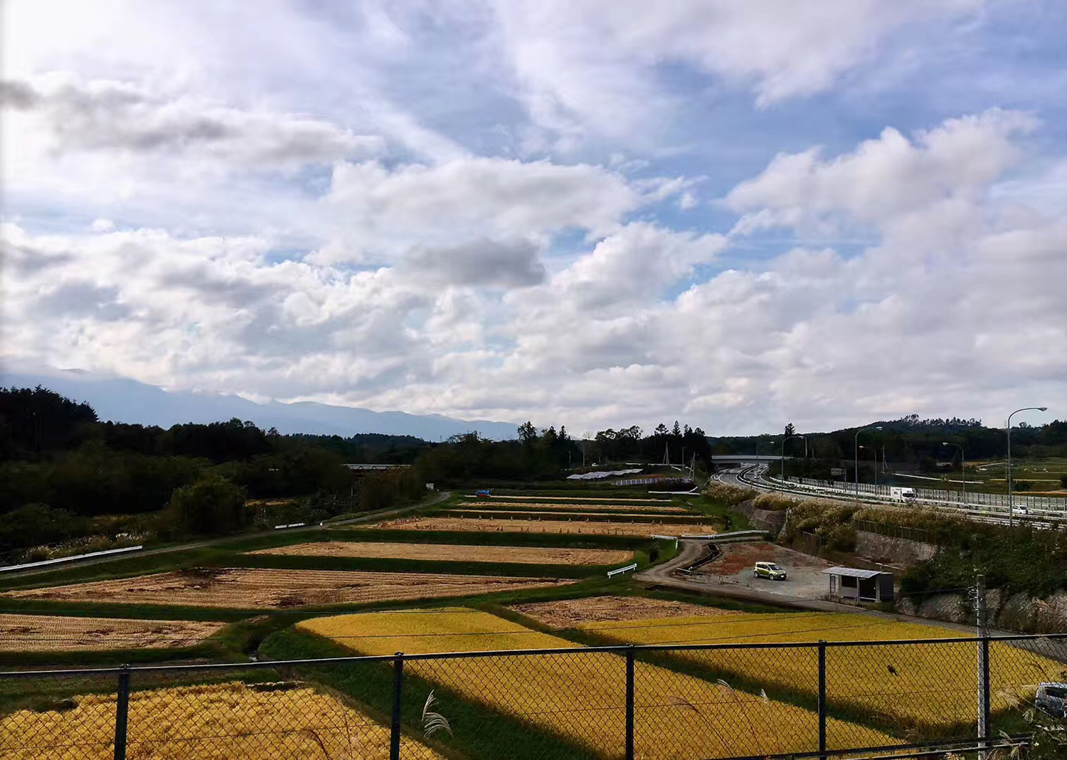 东京到底哪里发达,东京日本本土气息