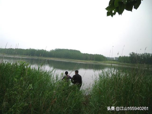 天然大钓场,天然氧吧钓场