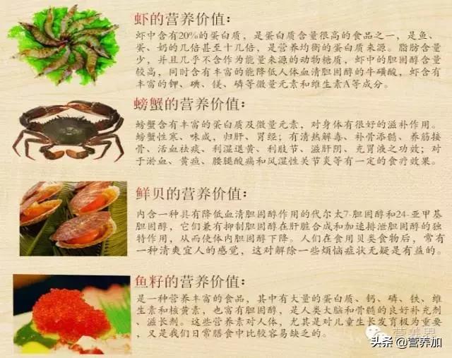 虾酱代替盐靠谱吗？