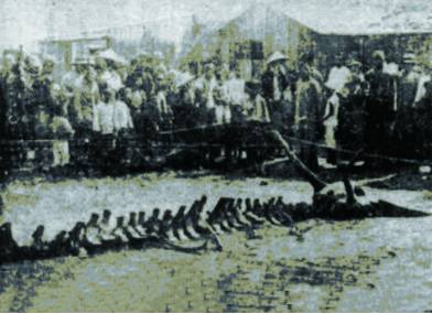 营口网红世外桃源,辽宁哪有世外桃源