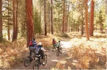 朝阳区准备新建哪些公园,朝阳区新建免费公园