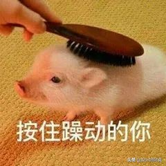 日本卫浴品牌排行,日本整体卫浴价格表