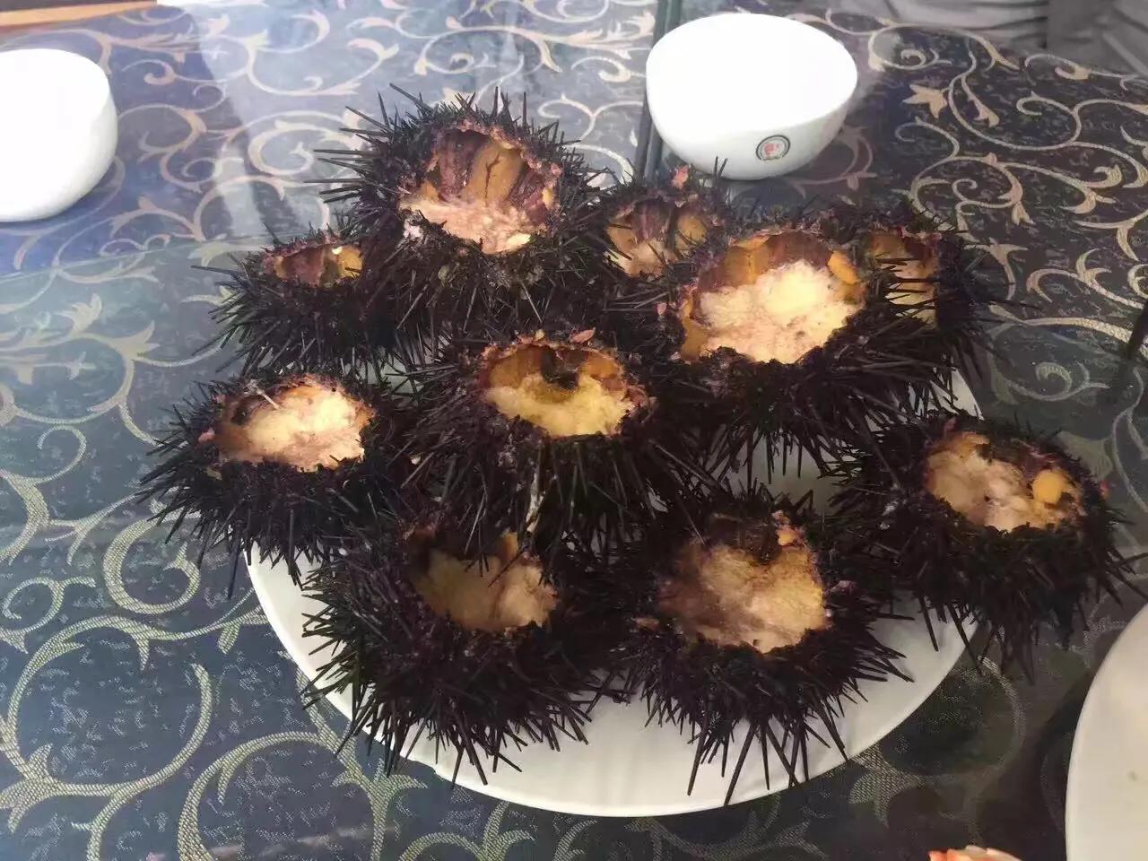 山东长岛自助游攻略,山东长岛游玩攻略视频