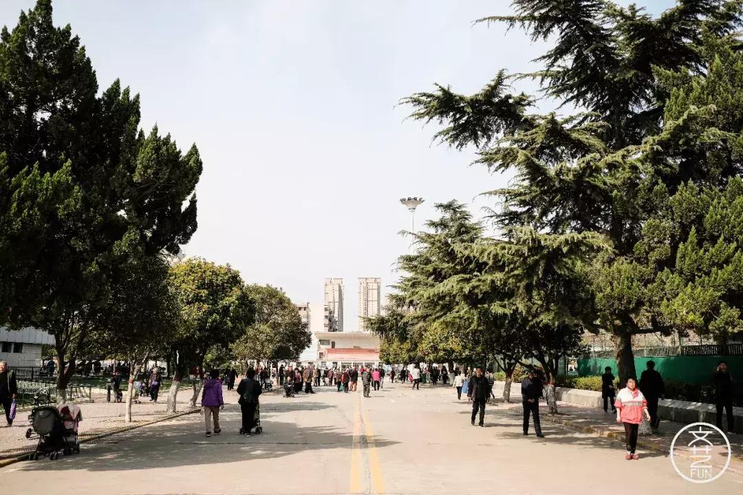 郑州火车头体育场视频,郑州市二七区火车头体育场