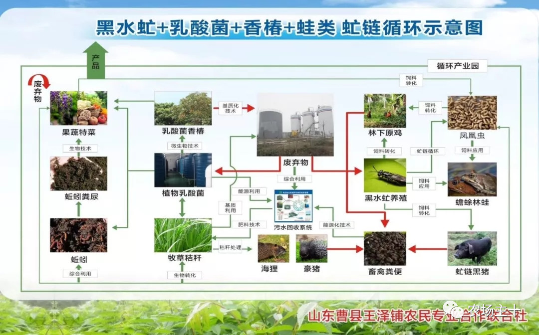 从沿街乞讨到身家亿万，“特养教父”32年的农业路堪称一部传奇史