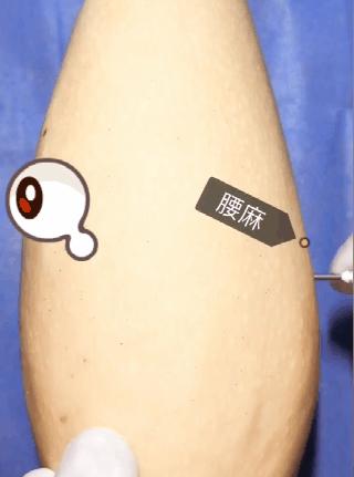 在家憋着干啥挣钱,在家憋着可以玩什么游戏