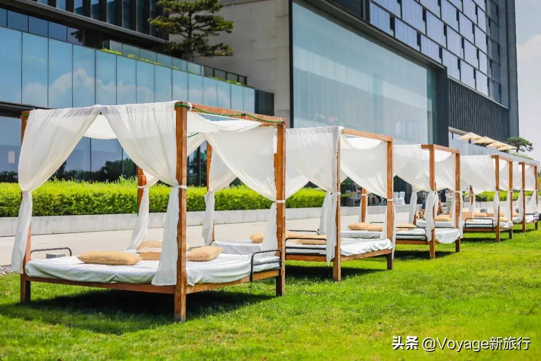 旅行民宿春天赏花,附近哪里有赏花民宿