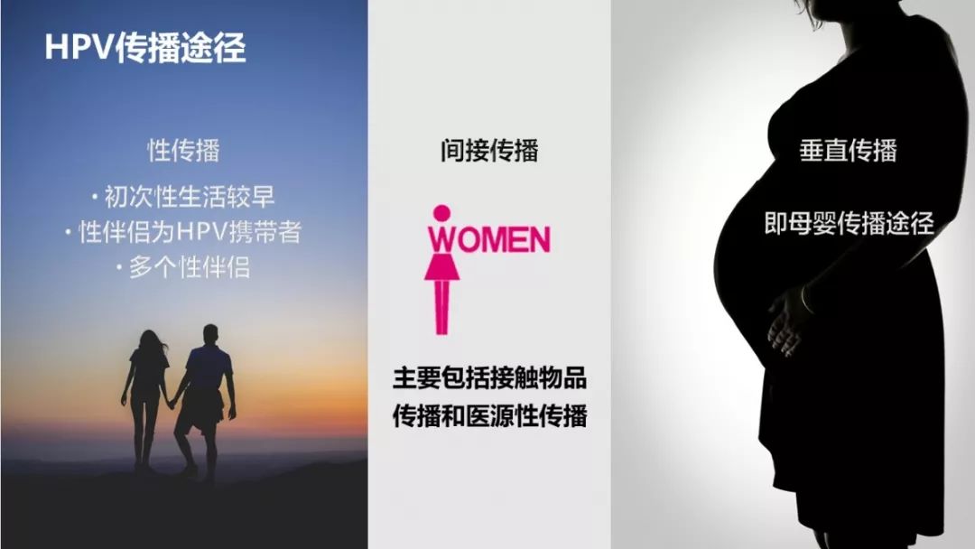 宫颈癌双筛的报告解读,宫颈癌最深度解读