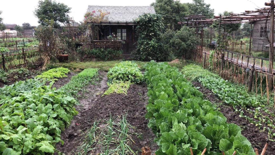 乐田市民家庭农场，德国海归博士送给女儿的礼物