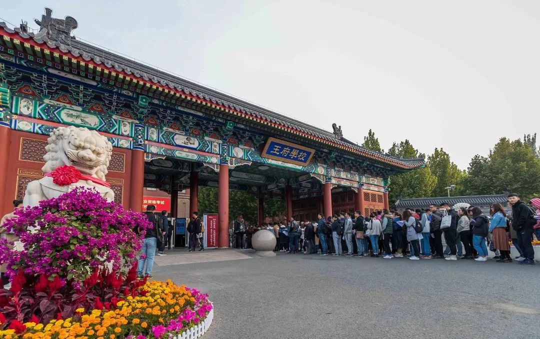 文科专业没前景吗,文科没前途专业