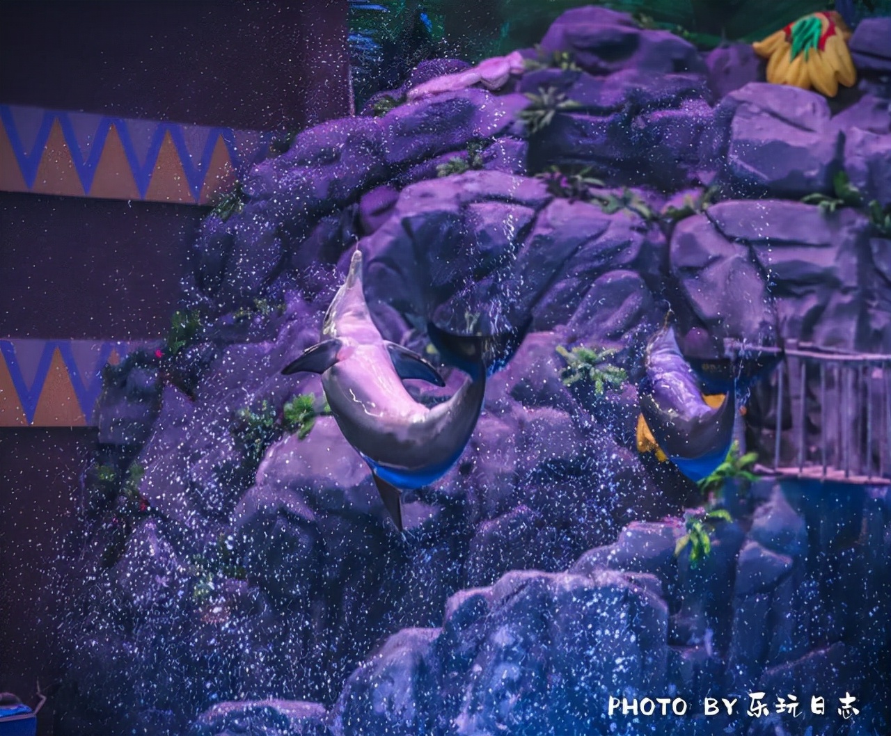 珠海亲子游必玩景点,珠海一日游适合带孩子玩的景点