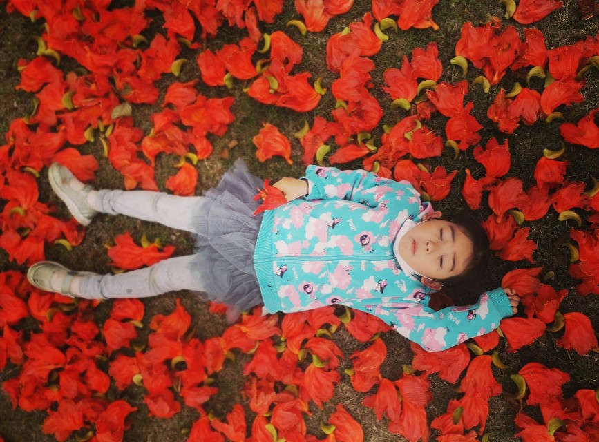 厦门园博苑带娃游玩攻略,厦门遛娃公园