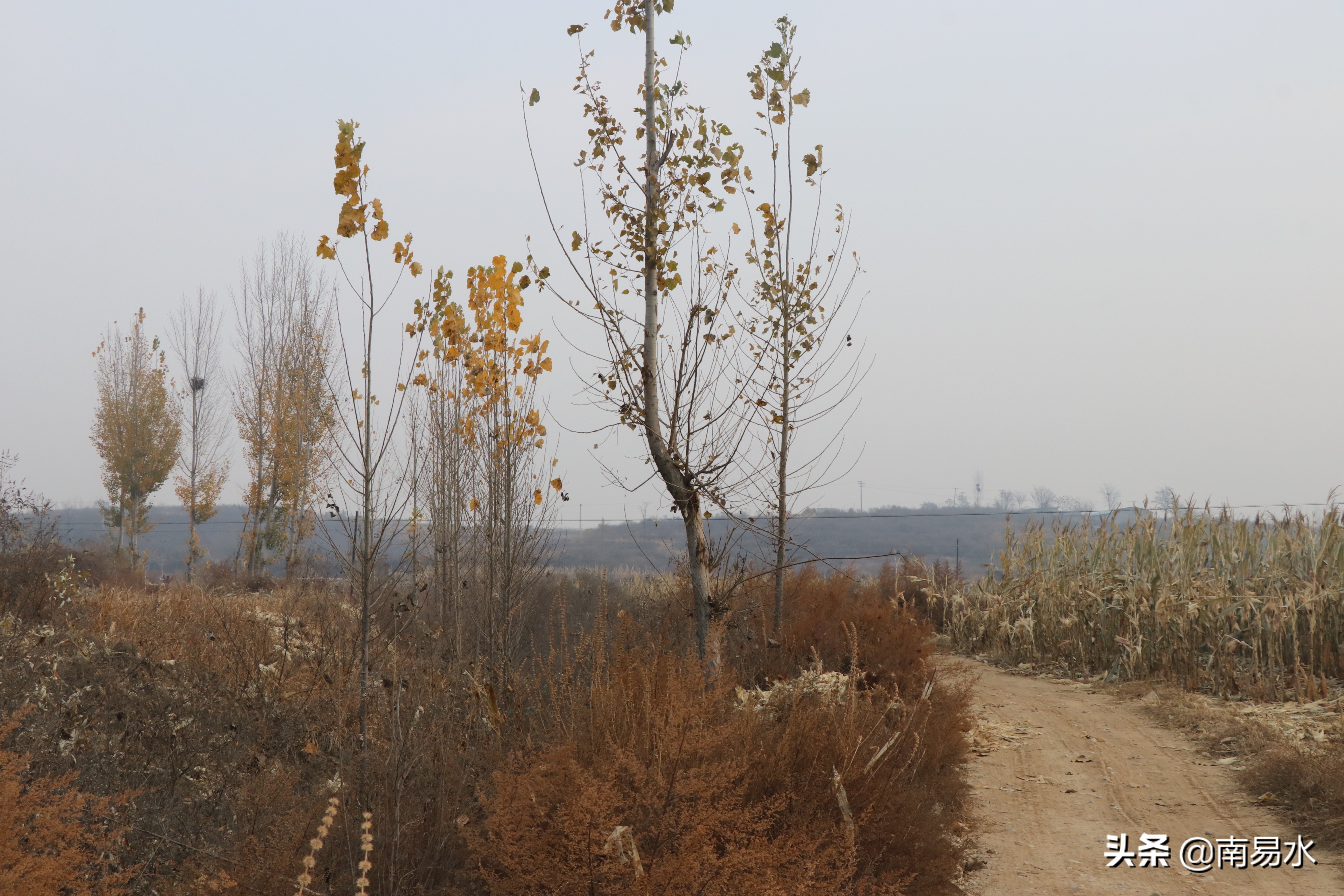 家乡风景带你一起感受自然的味道,令你难以忘怀的家乡的味道