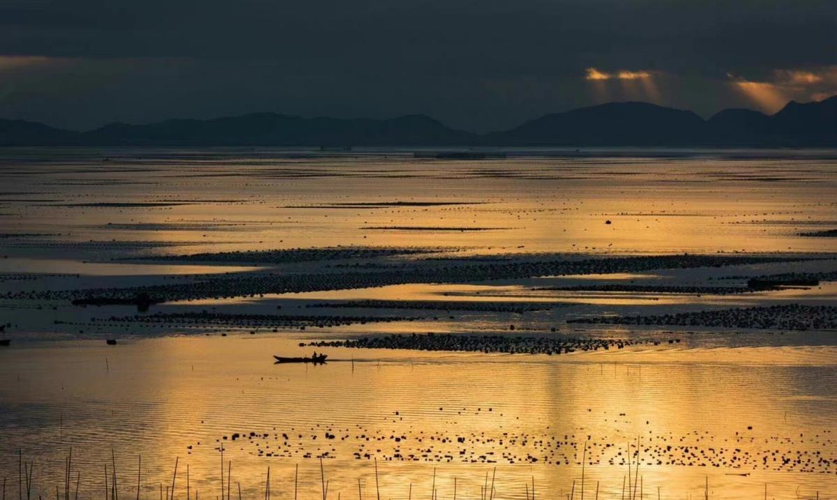 自卑的人不愿意做这三种事,怎么克服自卑和半途而废的心理