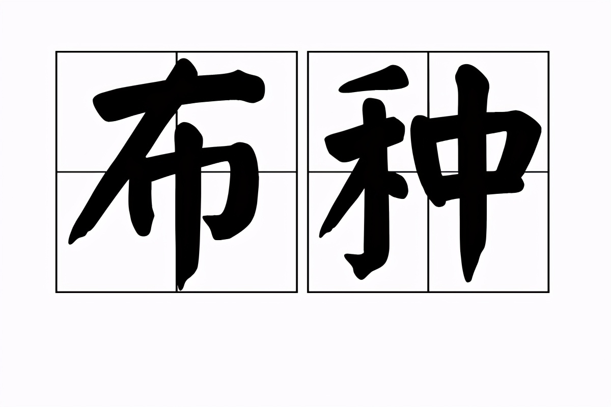 中国人培育千年，种子曾是“六谷”之一，根茎“病变”成高端食材