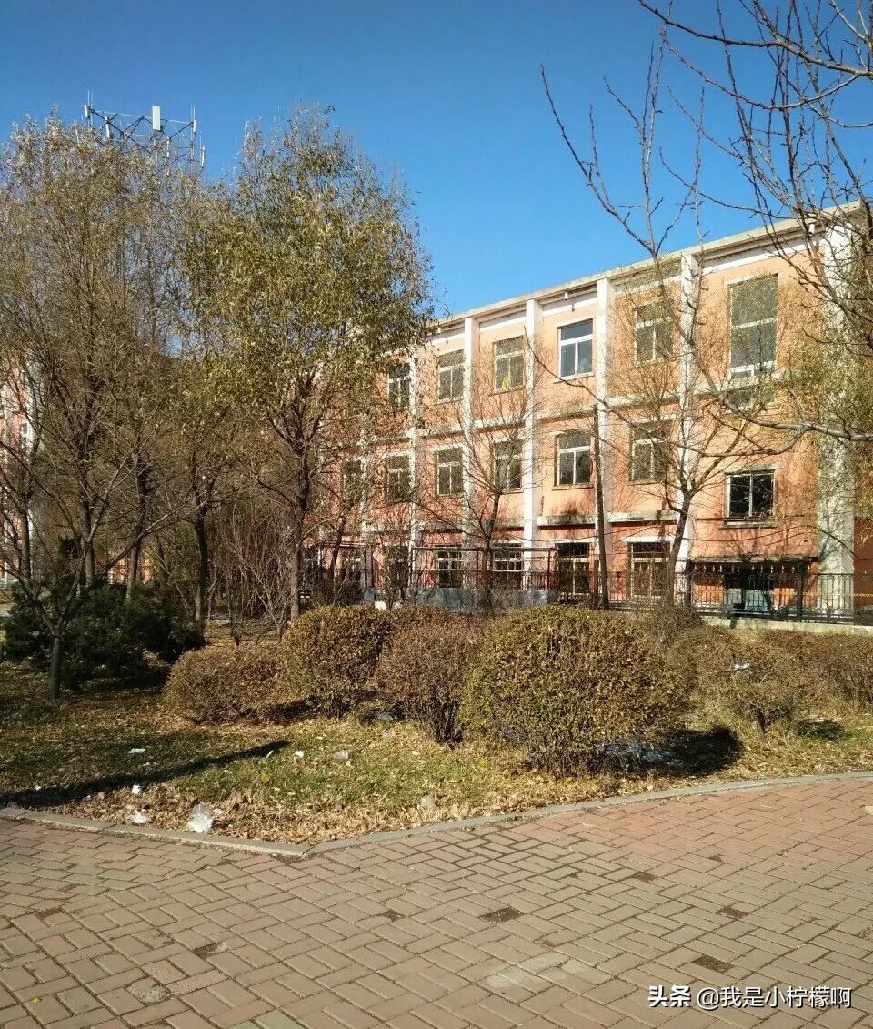 吉林电子信息职业技术学院校花,吉林电子信息职业技术学院通知书