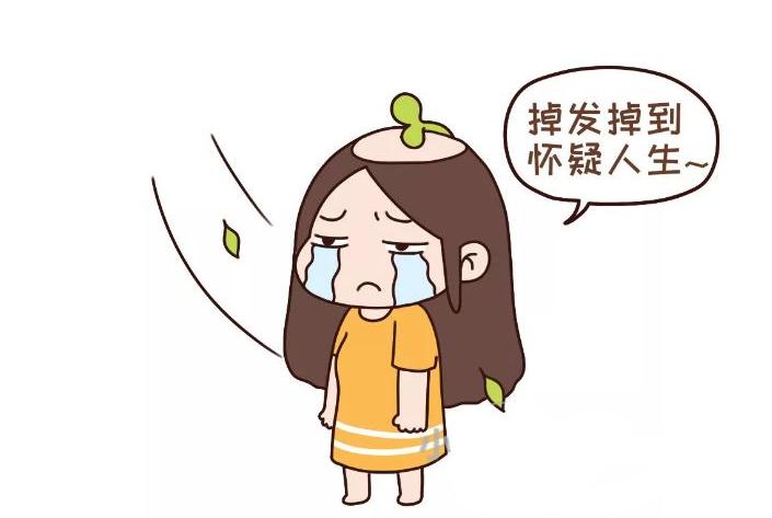 脂溢性脱发中医辨证治疗分两型,脂溢性脱发治疗脱发成功案例