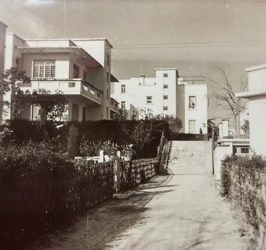 华侨新村，羊城闹市中的世外桃源