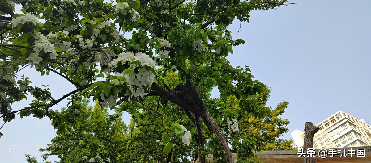 拯救者电竞手机2pro测评,拯救者电竞手机2pro是安卓系统吗