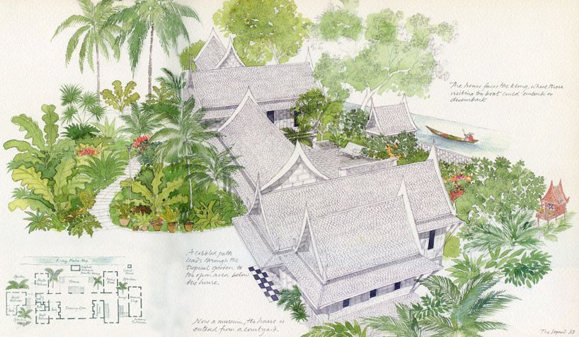 老鼠可以玩什么,老鼠可以玩杂技么