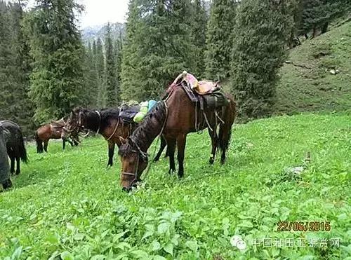 玛纳斯探奇之旅,新疆探秘伊犁