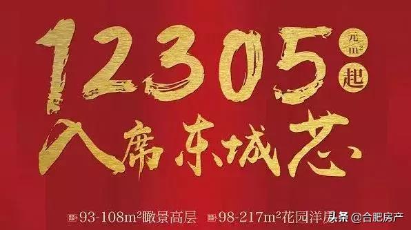 最低11000元/㎡！瑶海炸出627套房！手握30万的刚需客机会来了