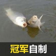 海钓竿线组组装视频,海钓矶竿线组制作方法