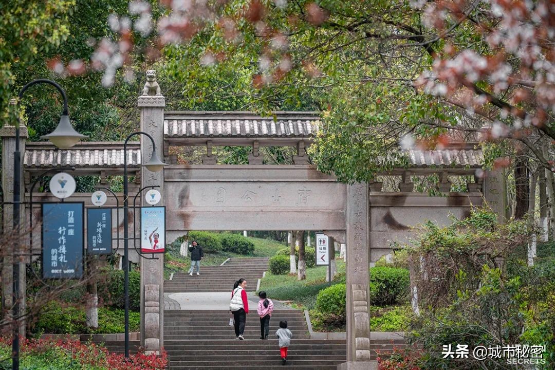 金庸谈衢州,金庸笔下浙江江山市