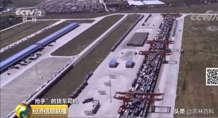 高薪招聘货车司机月入过万,缺个司机月薪50万