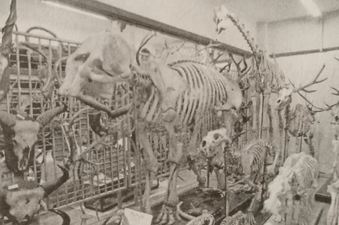 标本运输a类或b类进行几层包装,生物安全标本包装运输注意事项