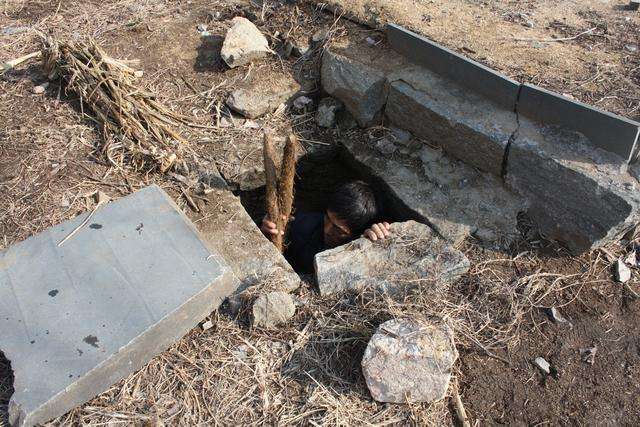 故乡的菜有哪些味道,故乡的菜