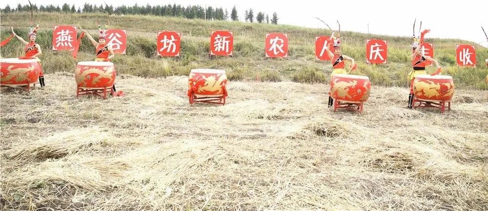 第三届中国农民丰收节汝南,益阳市第三届中国农民丰收节举行