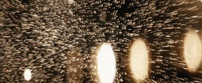 在家闲的长出了蘑菇好想出去玩,在家闲出了蘑菇