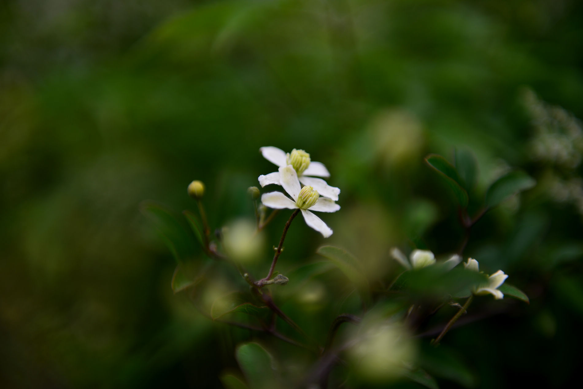 三种男人不宜择偶,爷爷说人生有三样东西不能碰