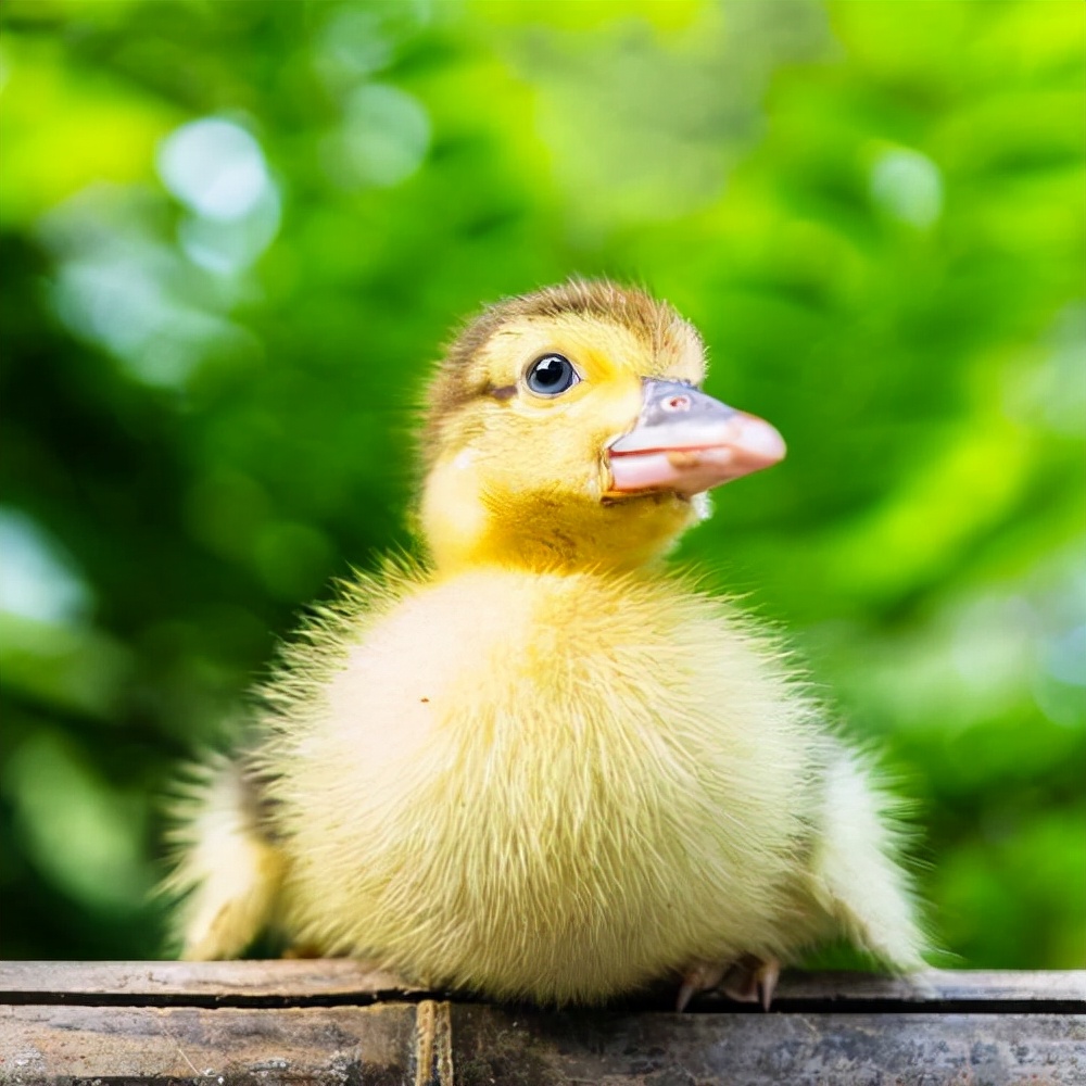 坚持让我成功优秀作文,坚持到底才会成功的作文