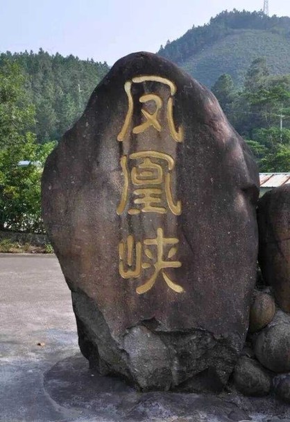 凤凰峡岭南小九寨原生态景区，素有“广东九寨沟”之美誉。不错吧