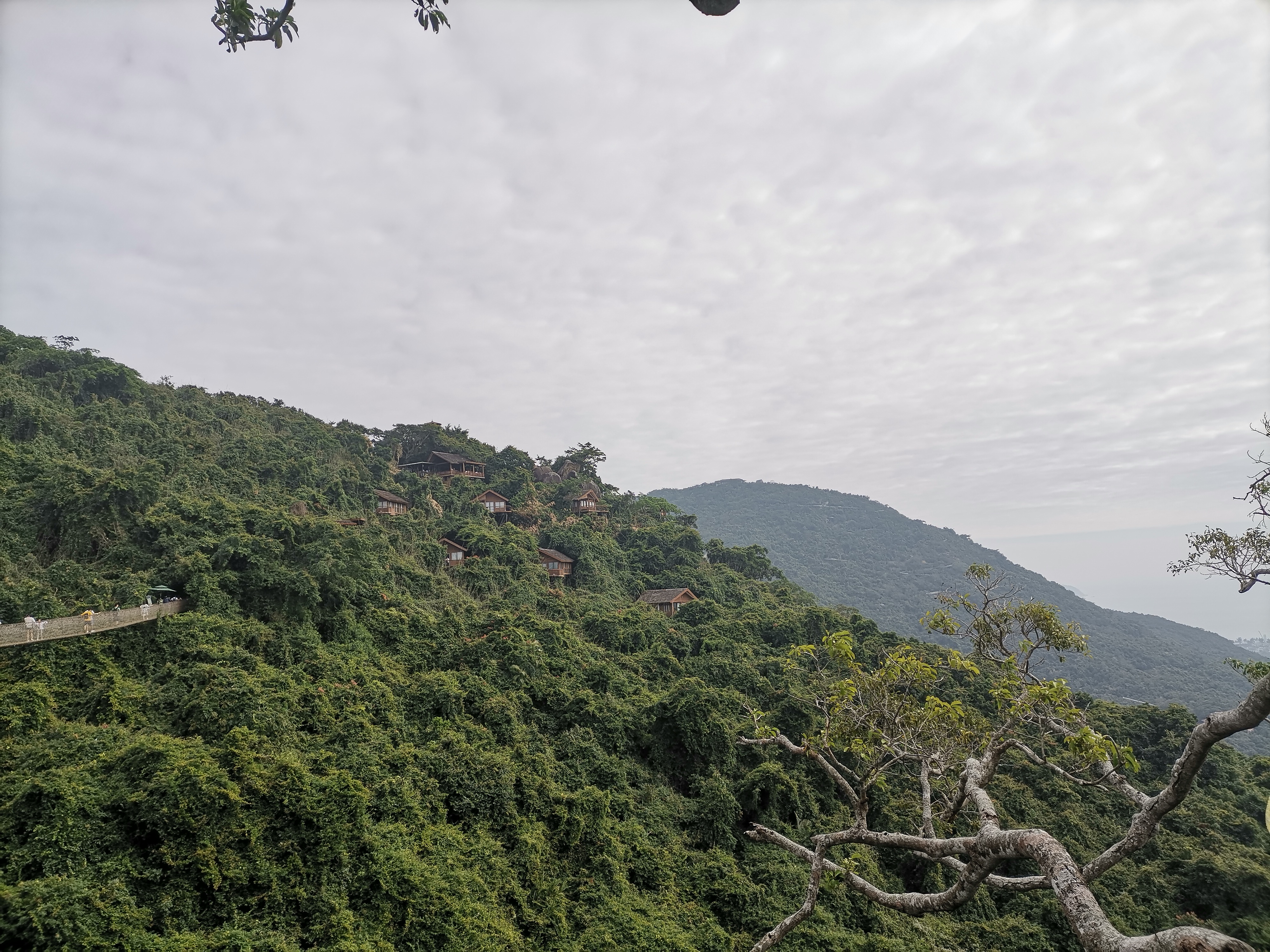 去了海南三亚,去完三亚热带森林公园可以逛哪里