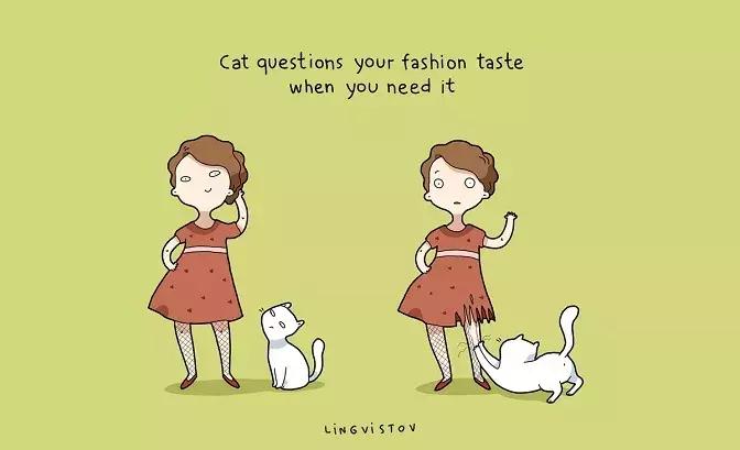 家里养猫的好处也太多了吧,养猫一公一母有什么好处