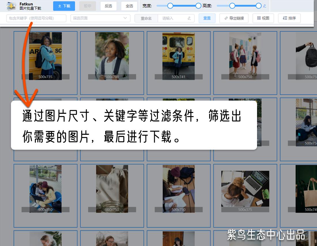 想要批量*载下**图片？用这2个神器更高效！——跨境工具推荐第18期